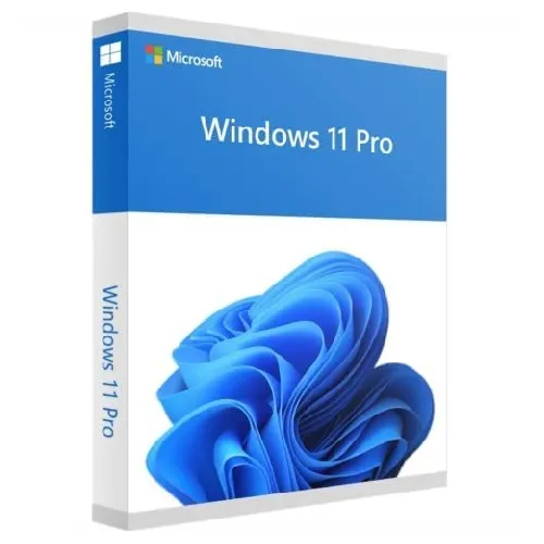 this is a image of Microsoft Windows 11 Professional